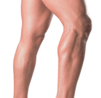 حرکات ساق پا